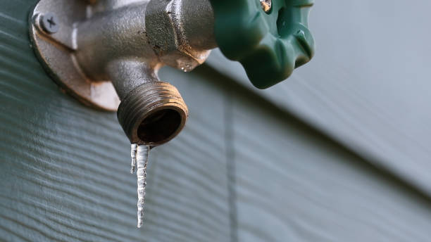 Best Shower Repair Services  in Mshall, AR